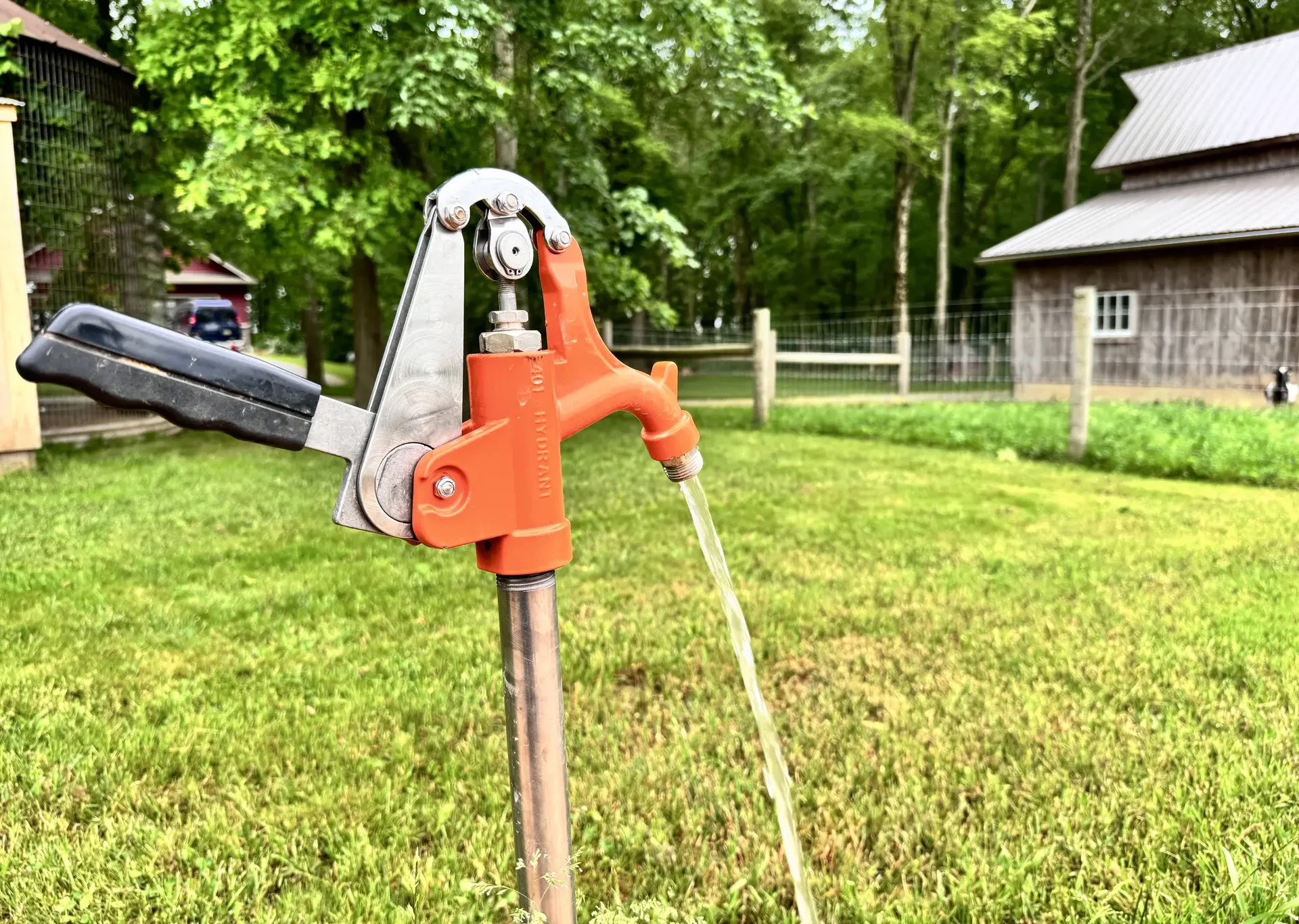 Hydrants-IMG_3582_1920-